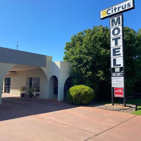 Citrus Motel Грифит Екстериор снимка