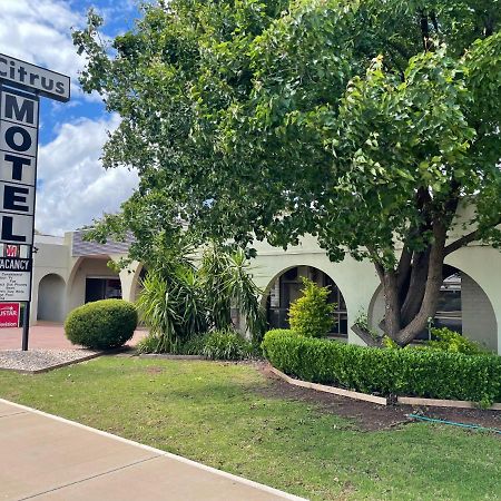 Citrus Motel Грифит Екстериор снимка